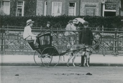 Goat-Drawn Transport by English Photographer